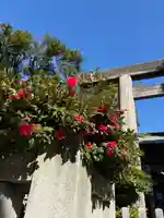 東京大神宮(東京都)