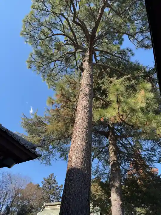 大宝八幡宮(茨城県)
