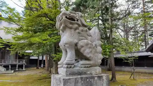 上川神社の狛犬