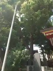 女塚神社(東京都)