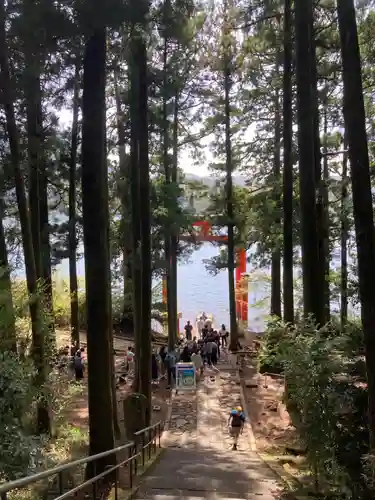 箱根神社(神奈川県)