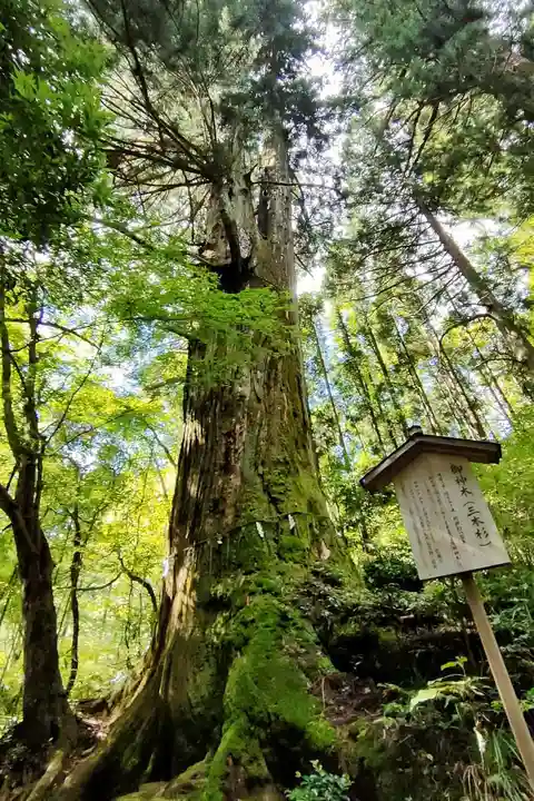 花園神社の自然