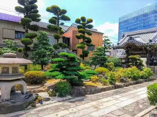 常念寺の庭園