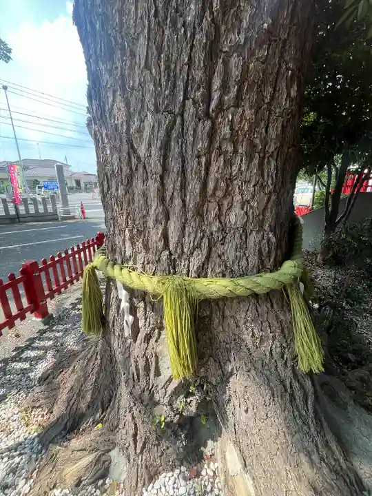 鴻神社(埼玉県)