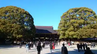 明治神宮(東京都)