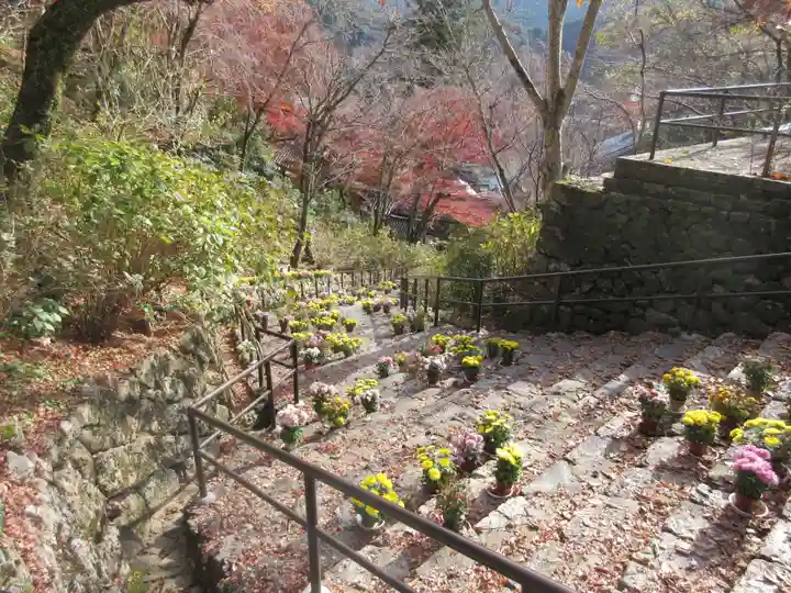 長谷寺(奈良県)