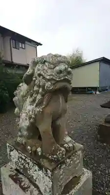 五十鈴神社の狛犬