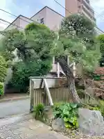 清徳寺(東京都)