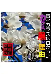耕田院(山形県)(2024年04月08日(月) 03時54分49秒投稿)