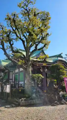高木神社の{uncategorized: "未分類", other: "その他", undefined: "問題あり", building: "その他建物", grave: "お墓", sacred_gate: "鳥居", guardian: "狛犬", statue: "像", buddha: "仏像", history: "歴史", nature: "自然", garden: "庭園", animal: "動物", pagoda: "塔", temizu: "手水舎", mountain_gate: "山門・神門", sanctuary: "本殿・本堂", subordinate: "末社・摂社", art: "芸術", scenery: "景色", jizo: "地蔵", ema: "絵馬", goshuin: "御朱印", omikuji: "おみくじ", items: "授与品その他", amulet: "お守り", goshuincho: "御朱印帳", eats: "食事", festival: "お祭り", votive_dance: "神楽", shichigosan: "七五三参", wedding: "結婚式", experience: "体験その他", initially: "初詣", around: "周辺", anti_infection: "感染症対策"}