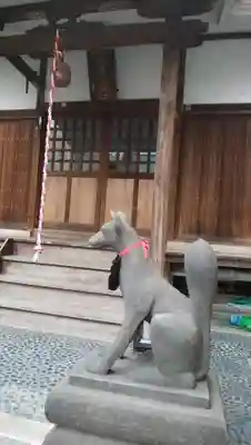 感應稲荷神社の狛犬