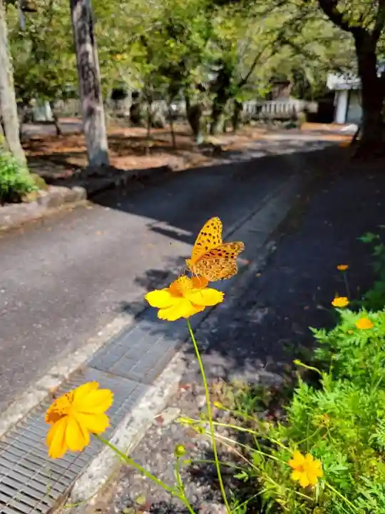 天鷹神社(岐阜県)