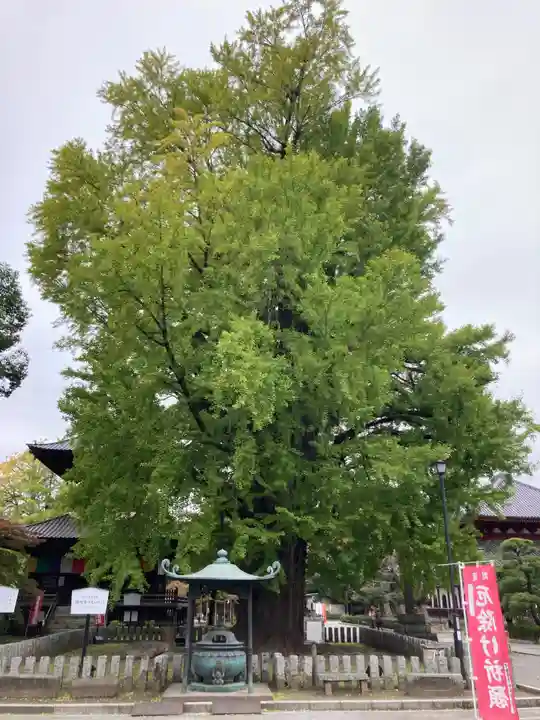鑁阿寺(栃木県)