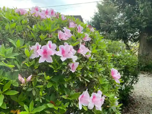 美奈宜神社(福岡県)