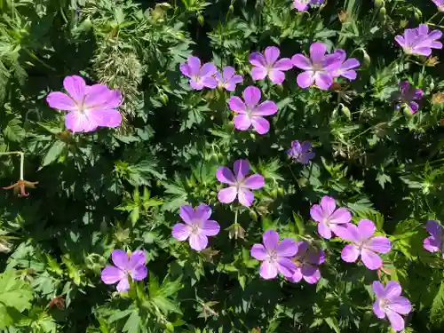 月山神社本宮の自然