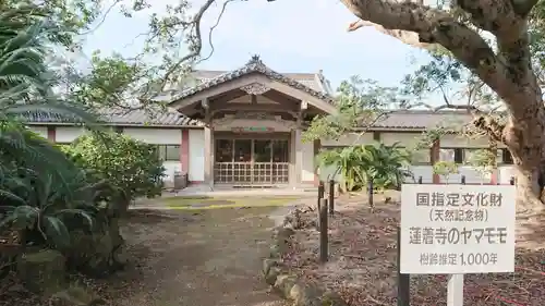 蓮着寺(静岡県)
