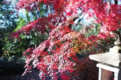 浄土寺(兵庫県)