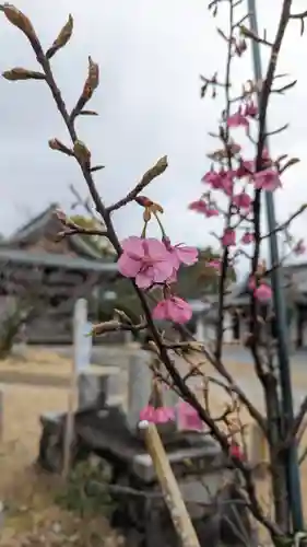 新日吉神宮(京都府)