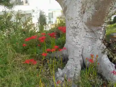 和田塚(神奈川県)