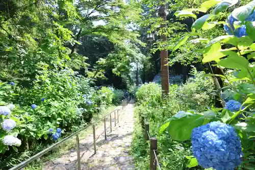 窟神社(栃木県)