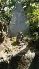 題経寺（柴又帝釈天）の狛犬