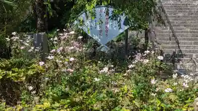 善峯寺(京都府)