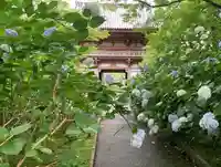 久安寺の自然