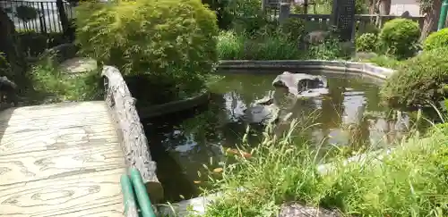 浅間神社の庭園