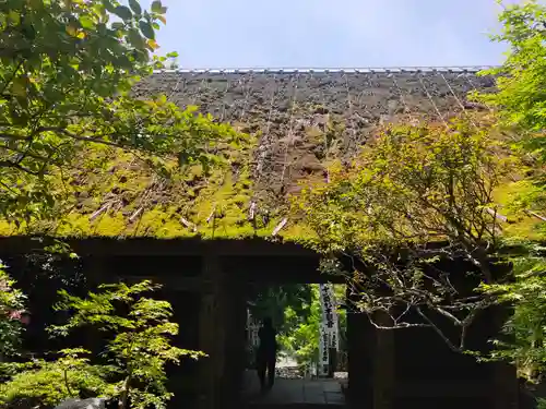 杉本寺(神奈川県)