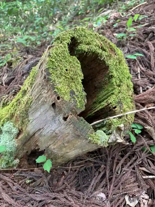 犬の宮猫の宮(山形県)