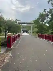 札幌護國神社の鳥居