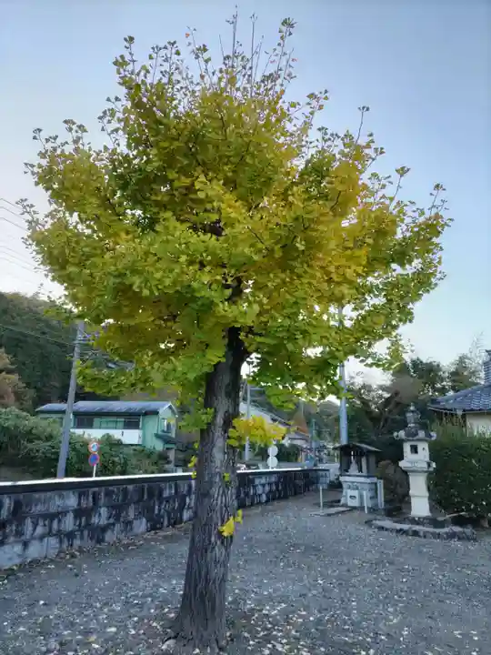 金藏寺(埼玉県)