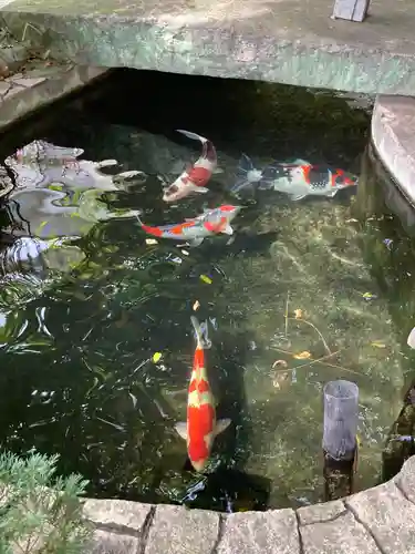 天妙国寺(東京都)