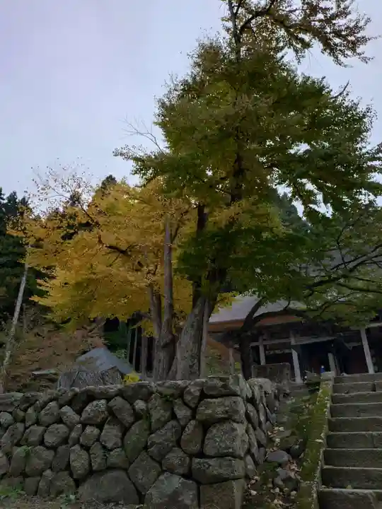 慈恩寺(山形県)