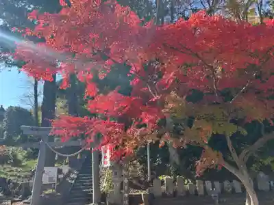 岡部春日神社～👹鬼門よけの🌺花咲く🌺やしろ～(福島県)
