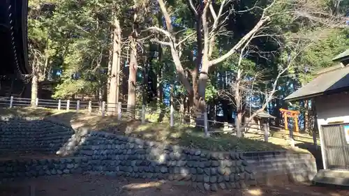 椙山神社(東京都)