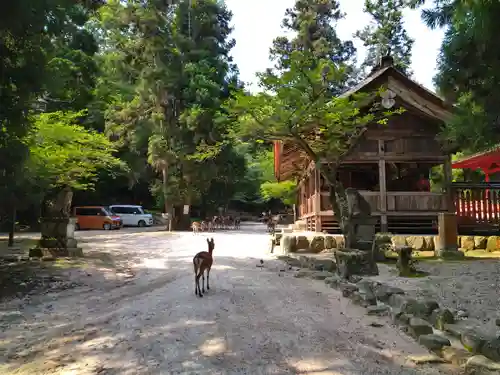 大元神社（厳島神社境外摂社）(広島県)