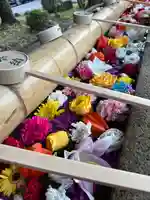 群馬県護国神社(群馬県)