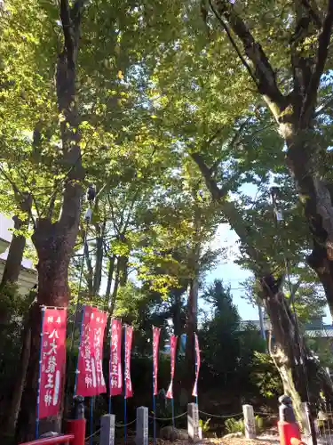 秩父今宮神社(埼玉県)