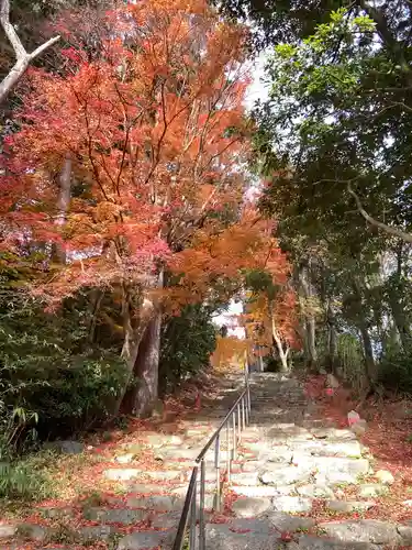 観音正寺の景色