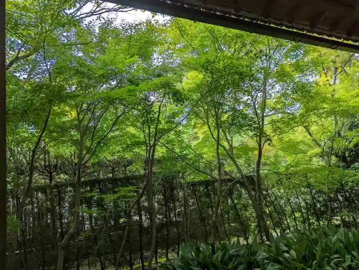 源光庵(京都府)