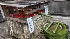 市比賣神社(京都府)