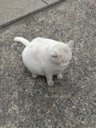 羽黒神社の動物