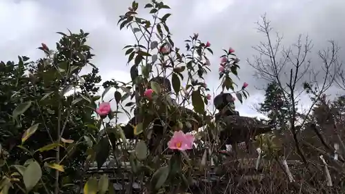 鍬山神社(京都府)