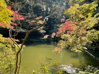 成田山新勝寺(千葉県)