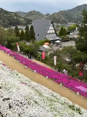 若杉稲荷大明神(兵庫県)