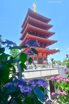 高幡不動尊　金剛寺(東京都)