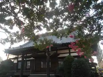 本興寺の本殿・本堂