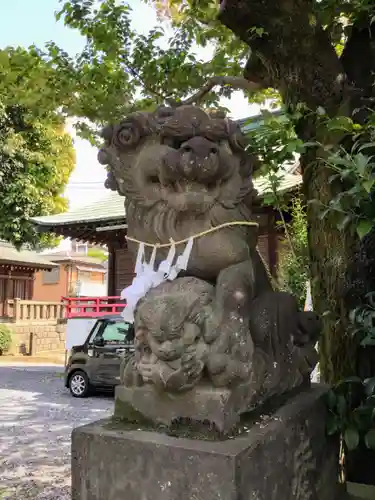 鳩ヶ谷氷川神社の狛犬