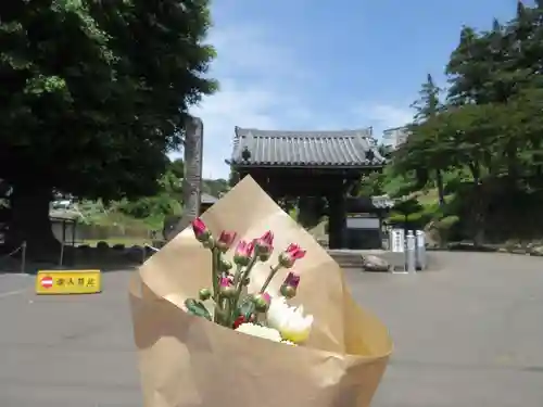妙福寺(神奈川県)